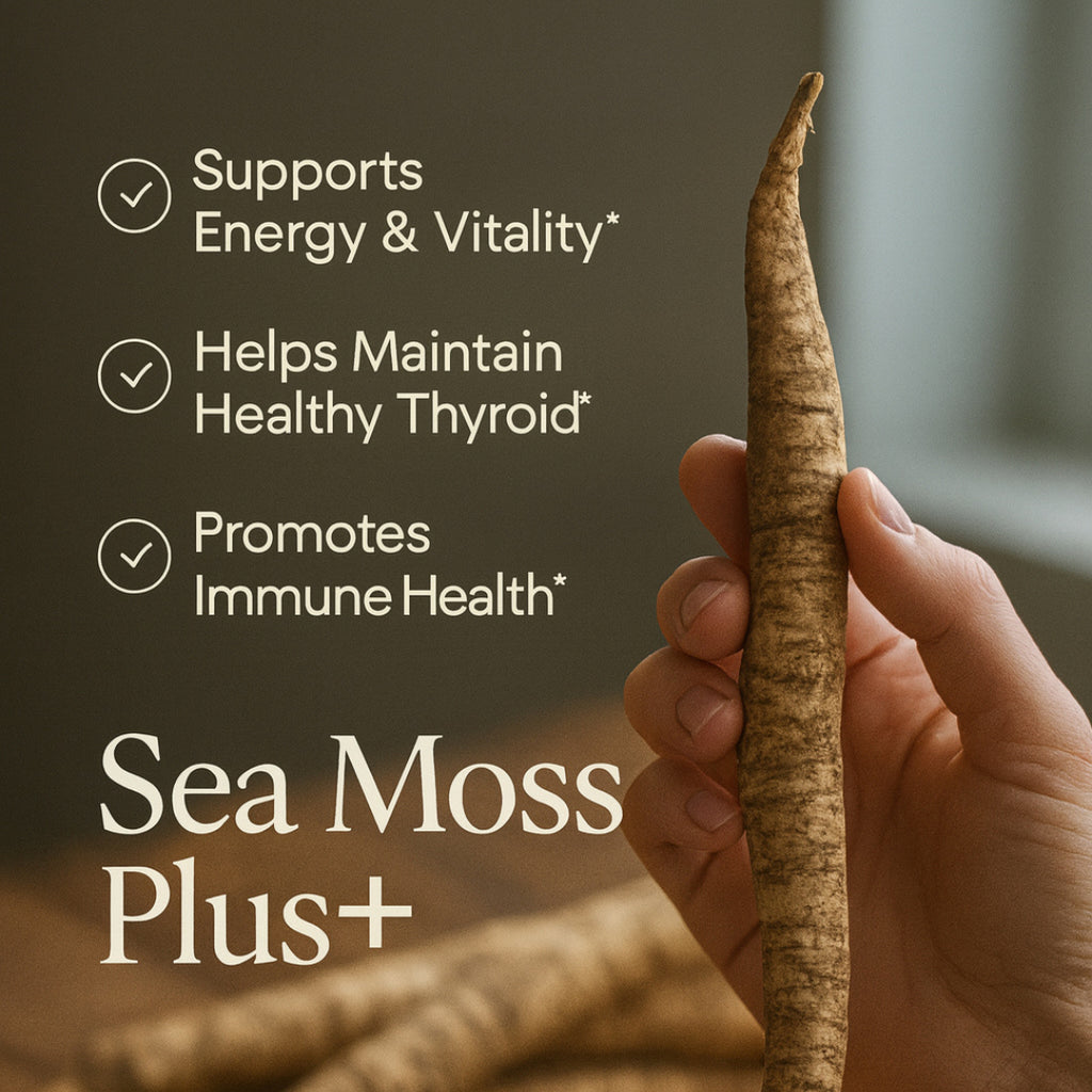 Sea Moss Plus+